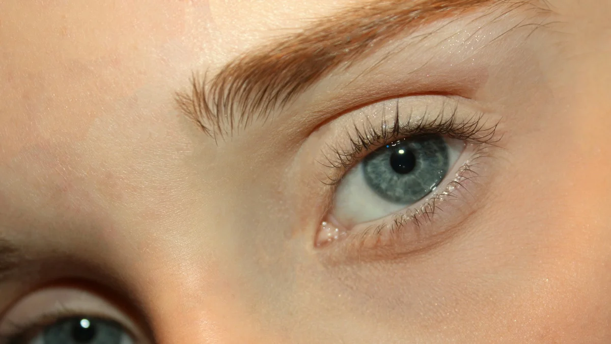 Grande plano dos olhos de uma mulher com as pestanas com lifting de aspeto natural