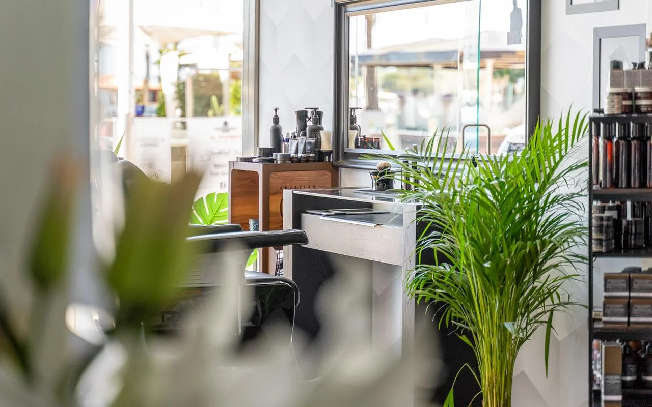 A estação de styling de um salão vista por entre plantas verdes frondosas, com produtos de cuidado dispostos numa bancada de madeira e prateleiras e luz do dia intensa a entrar pela janela ao fundo.